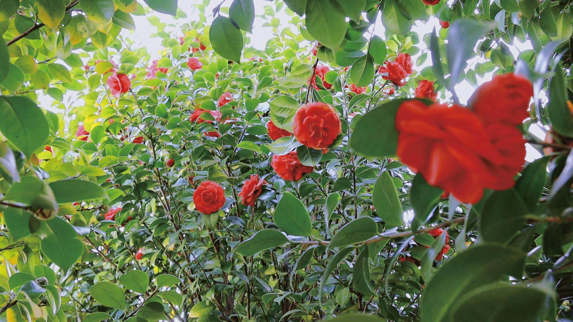 我們?cè)诖禾煲娒鎲幔? title=